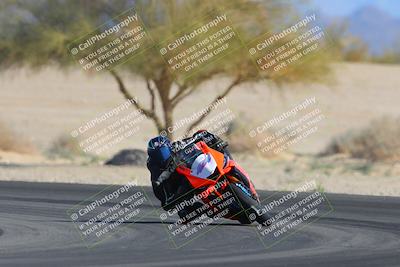 media/Feb-04-2023-SoCal Trackdays (Sat) [[8a776bf2c3]]/Turn 4 (Tree of Life 2pm)/